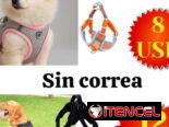 Articulos para mascotas
