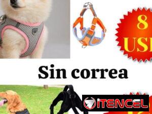 e8027d5312aefb72438e0fbb506d5b487010cd2a4e5e9afabe95a930c8c03fe5