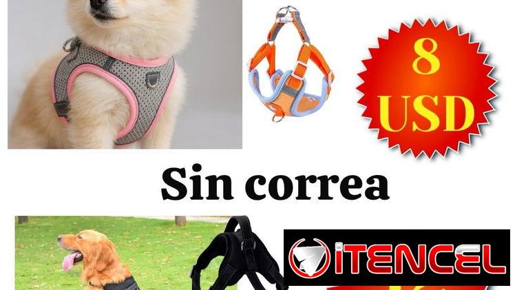 Articulos para mascotas