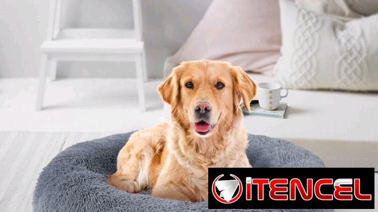 Camas Extra grande para Perros 🐕 🔴