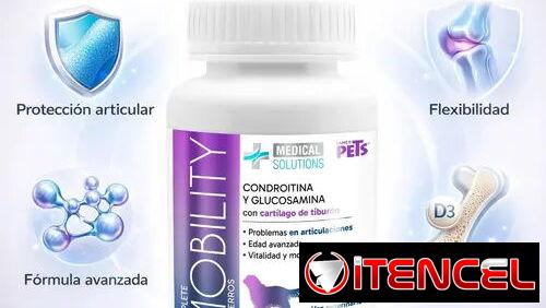 Glucosamina y condroitina