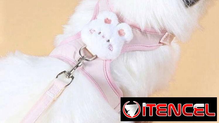 Pecheras para mascotas