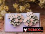 Aretes Pandora