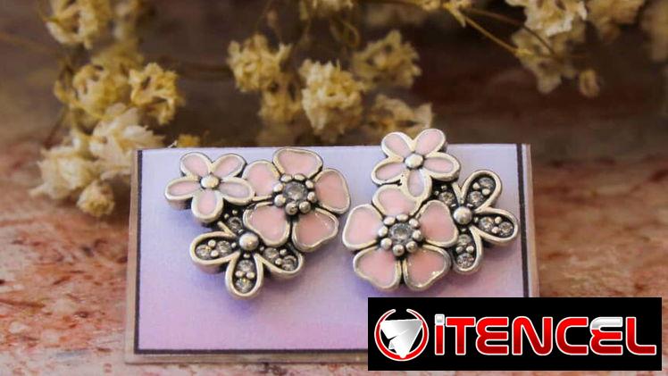 Aretes Pandora