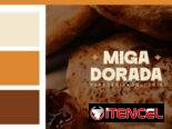 DESARROLLO DE LOGOTIPOS//CREACIÓN DE IDENTIDAD GRÁFICA//DISEÑO GRÁFICO//IDENTIDAD VISUAL//BRANDING