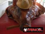 Cerdo asado