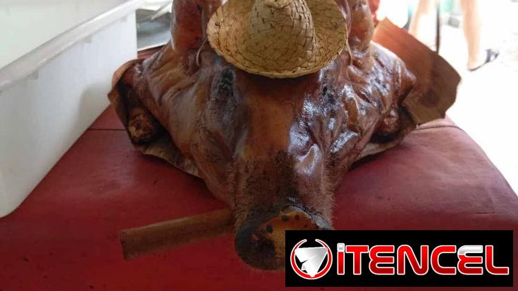 Cerdo asado