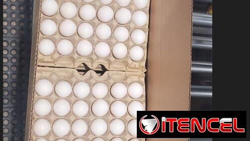 Venta de huevos