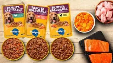 Comida húmeda para perros y gatos