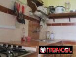🌊 Alquiler por tiempo indefinido Habana/Renta en Centro Habana/Alquiler de casas Habana 🌊