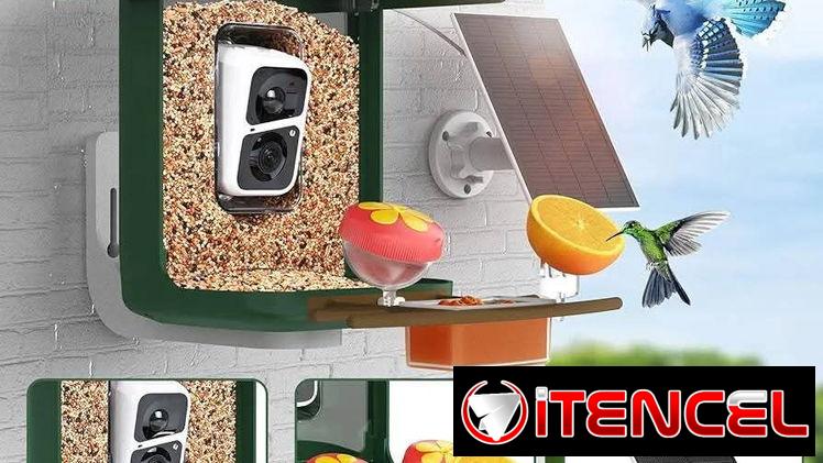 Cámara de Seguridad con panel solar 3 en 1  . Comedero inteligente para pájaro ,  complementos de bricolaje y tarjeta SD