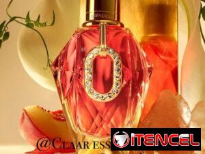e9fe86c3799df946a13a41ff99a2bcca34d270f05aecc3ab781728b95612e561