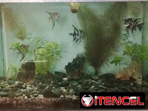ea0b7075d580a6e453e4674afd8baf2f833aeff7e6f0601d038d374d52b5cde9