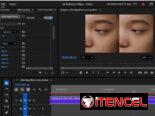 🟧 PORTRAITURE PARA VIDEO (PREMIER, DAVINCI RESOLVE STUDIO Y AFTER EFFECTS) (IMAGENOMIC VIDEO) – #Eventos