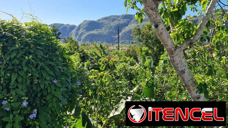 Casa en Viñales. Llama al 54611029. Alquiler, alojamiento, excursiones.