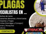 Servicio de fumigación y exterminio de plagas