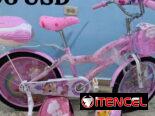 BICICLETA DE NIÑOS