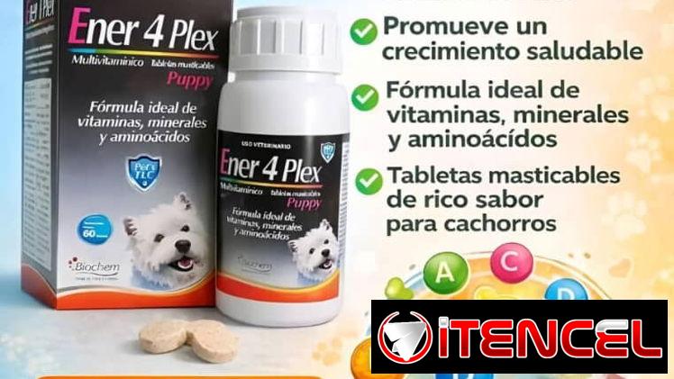 Ener 4 Plex Puppy – 60 Tabletas multivi para perros cachorros