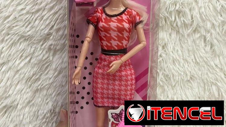 Muñeca Barbie con accesorios