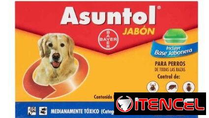 JABONES INSECTICIDAS