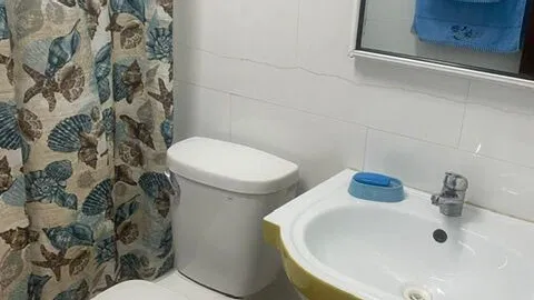 RENTO APTO POR DÍA O LINEAL POCO TIEMPO