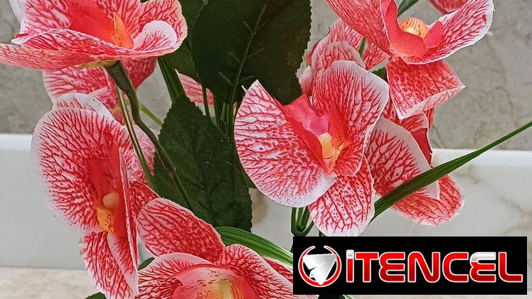 🧧Maceta con orquídeas💫 📏30cm /12 usd🧧