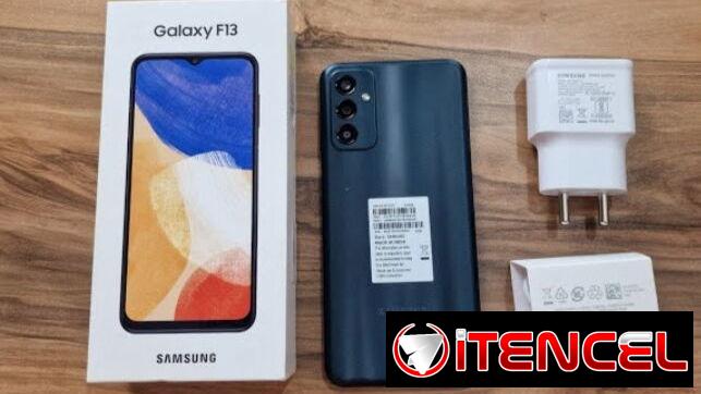 Samsung Galaxy F13