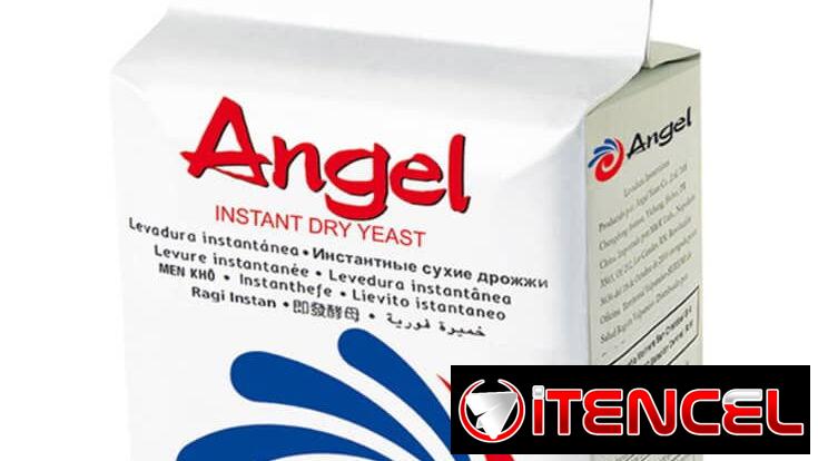 Levadura Angel 500gm