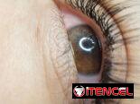 Estudio de Belleza Mels Madus Brows and Lashes (52 /27 y 29) Playa