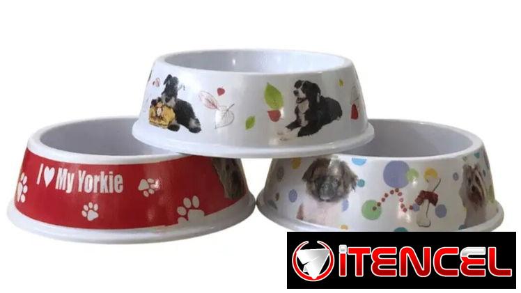 COMEDEROS PARA PERROS Y GATOS 🐱