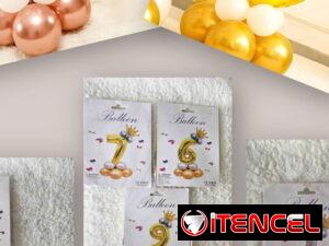 ed31e760d3eabac26705389e1644eeba68ca137324e6ee910b9018be3c25f7aa