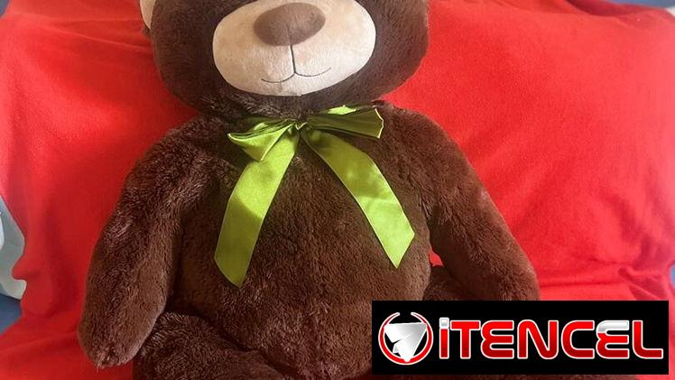 Peluches grandes nuevos