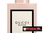Perfumes Originales Importados. Diseñador, Árabe y Nicho.  Todo lo que imagines en nuestra perfumería. Claar Essenza.