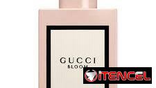 Perfumes Originales Importados. Diseñador, Árabe y Nicho.  Todo lo que imagines en nuestra perfumería. Claar Essenza.