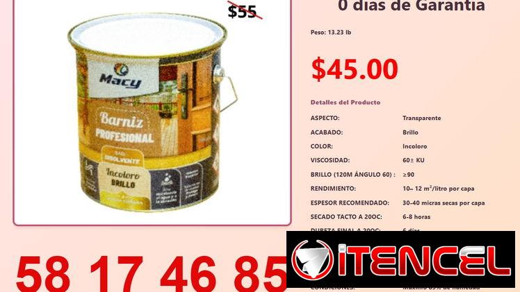 PINTURA BARNIZ BRILLO PROFESIONAL