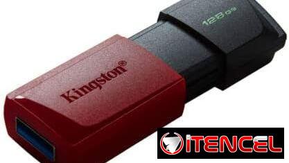 Memoria  Flash Kingston