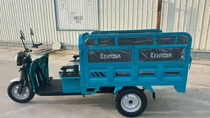 Triciclo Kivitova 🛺*