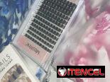 Recibir productos GRATIS de tiendas como Shein, Amazon o Temu