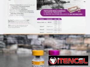 eecde41c02170f80d93f38ecaf17fc3da1941e628a14906eb43d0d9741441aec