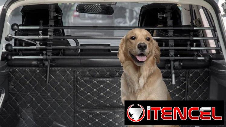 Reja de Seguridad de Coche para Perros