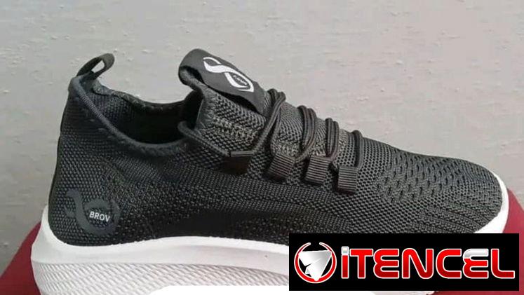 Tenis
