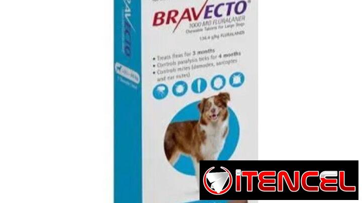 Bravecto 20-40kg