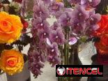 Macetas con flores artificiales