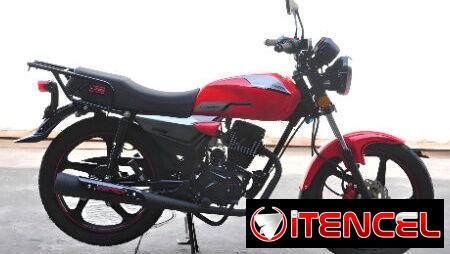 TRAPPER 150 CC – MOTOR