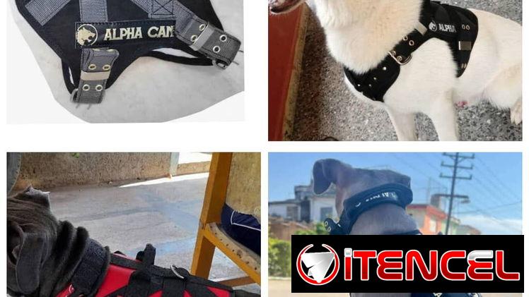 Pecheras Tácticas Tallas Grandes