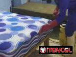 *Fumigación En La Habana (Calidad y Garantía)*