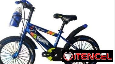 Bicicleta con cesta