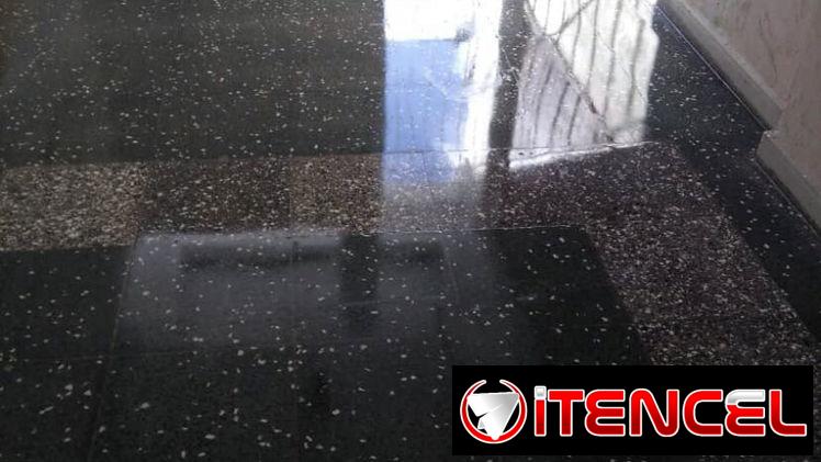 Pulidor de piso profecional