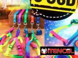 Accesorios para mascotas