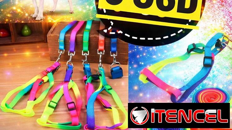Accesorios para mascotas